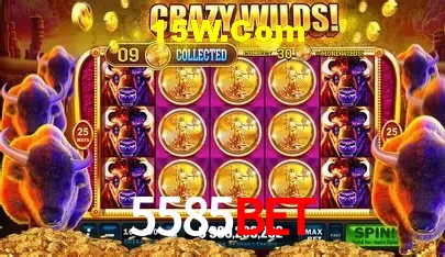 cassino 5585Bet